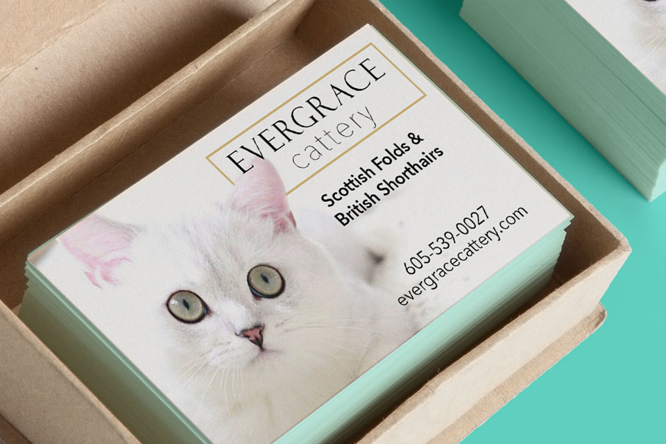 Evergrace Cattery Business Card