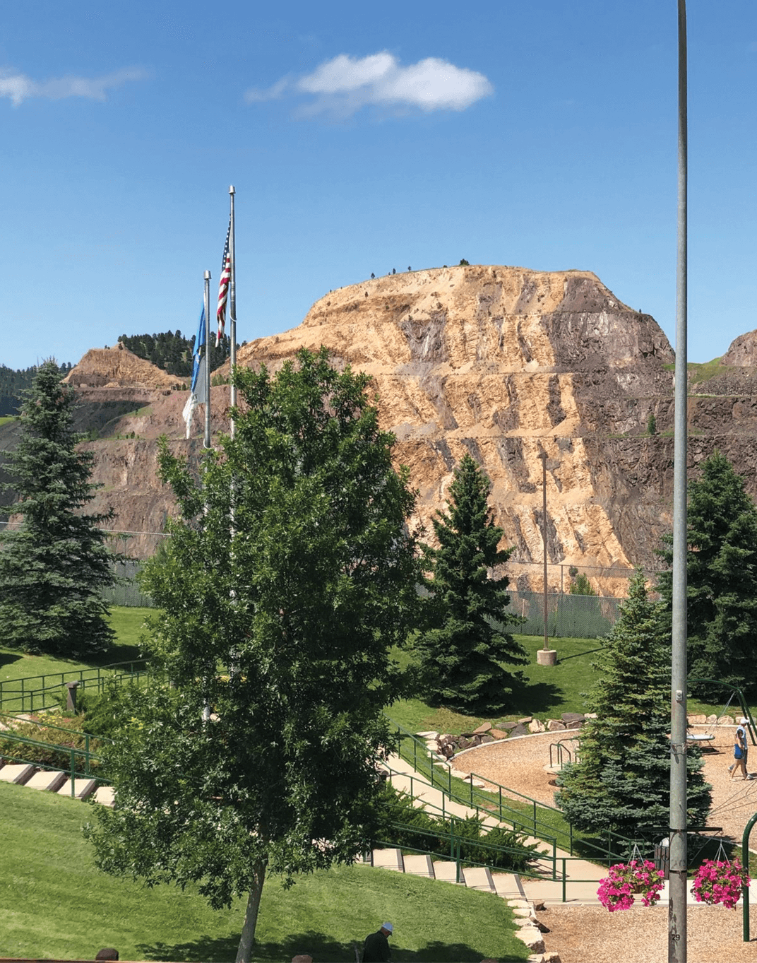 Park veiw